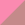 roze-coffee rose